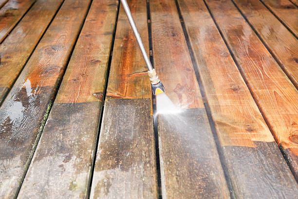 Animal Enclosure Cleaning in Dawson, GA